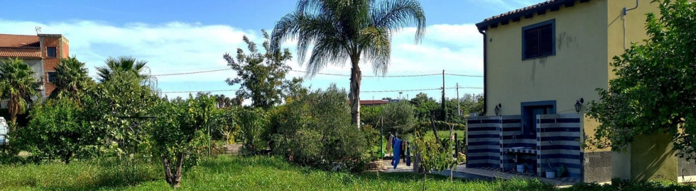 Camp Garden