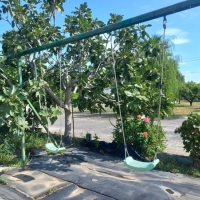 16 balancoires sosta camper pier giovanni