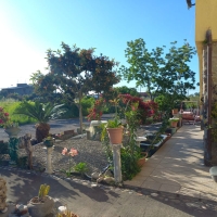 17b il cortile sosta camper pier giovanni