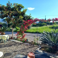 17c yard sosta camper pier giovanni