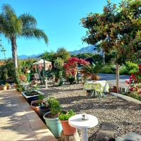 17d il cortile sosta camper pier giovanni