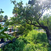 21 jardin kempu sosta camper pier giovanni