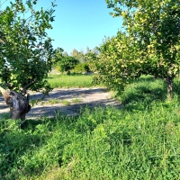 22 un emplacement pour une caravane sosta camper pier giovanni