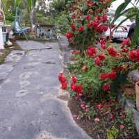 28 aire de repos sosta camper pier giovanni